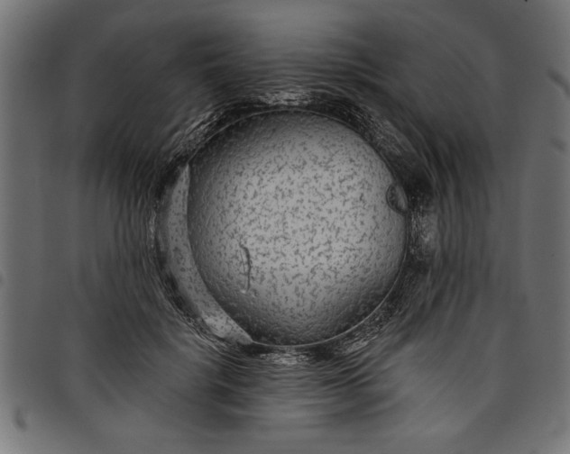 X0000097870652200803281202