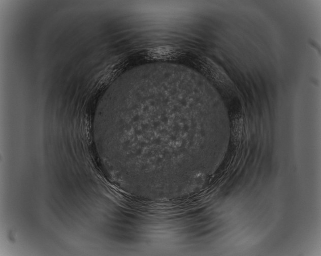 X0000097870653200803281202