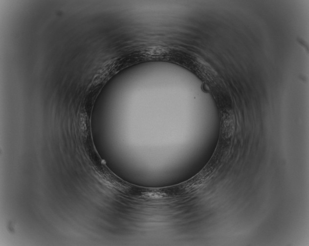 X0000097870654200803281202