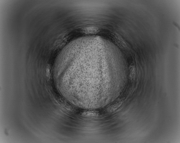 X0000097870655200803281202