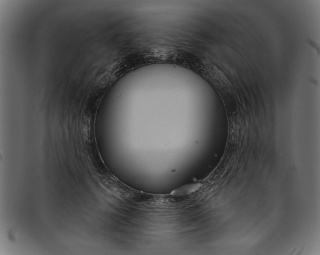 X0000097870656200803281202