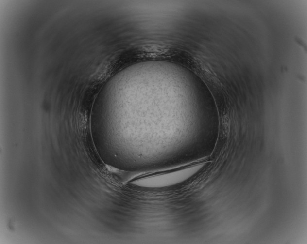 X0000097870657200803281202