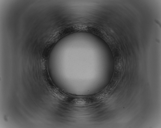 X0000097870658200803281202