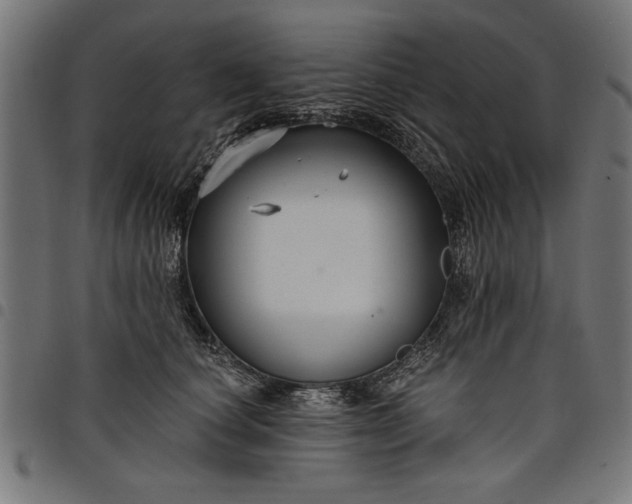 X0000097870660200803281202