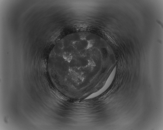 X0000097870661200803281202