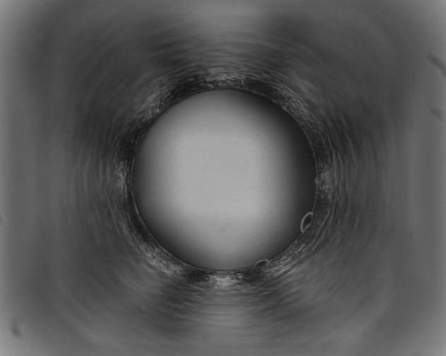 X0000097870662200803281202