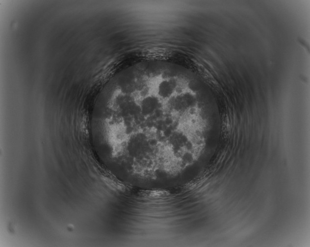 X0000097870663200803281202