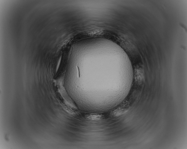 X0000097870664200803281202