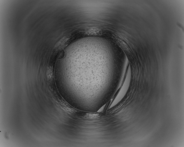 X0000097870665200803281202