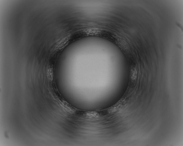 X0000097870666200803281202