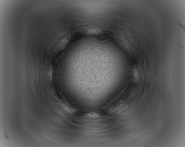 X0000097870668200803281203