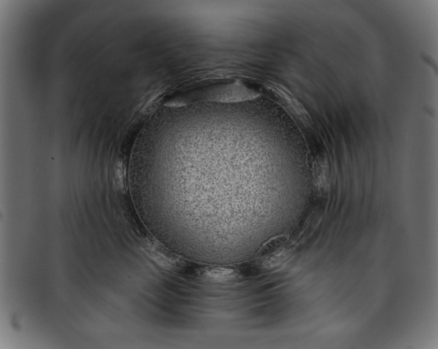 X0000097870669200803281203