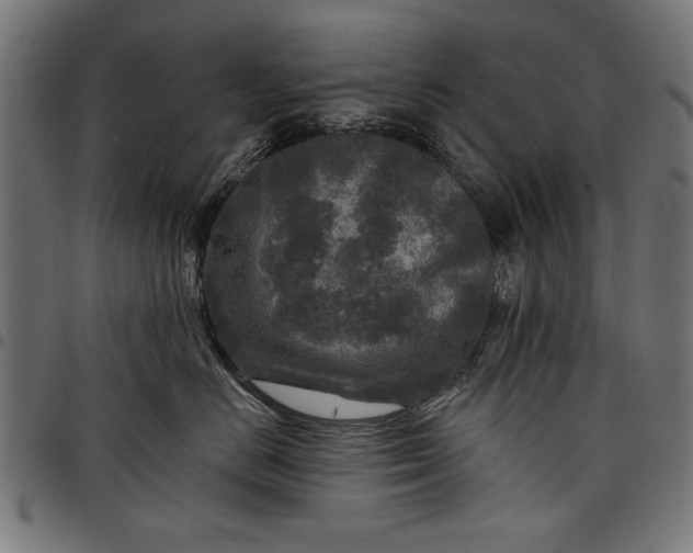 X0000097870670200803281203