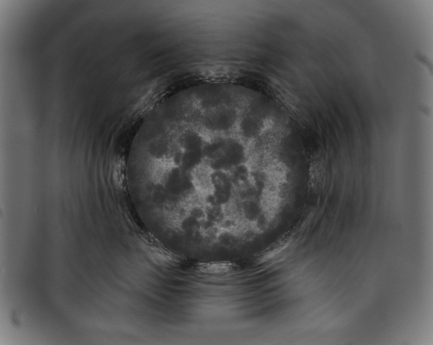 X0000097870671200803281203