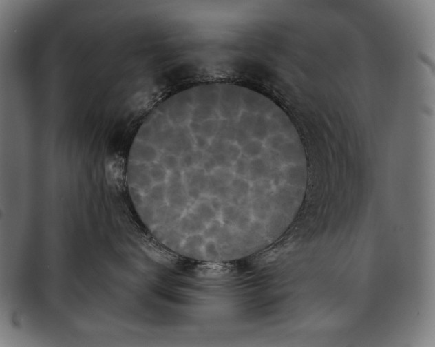 X0000097870672200803281203