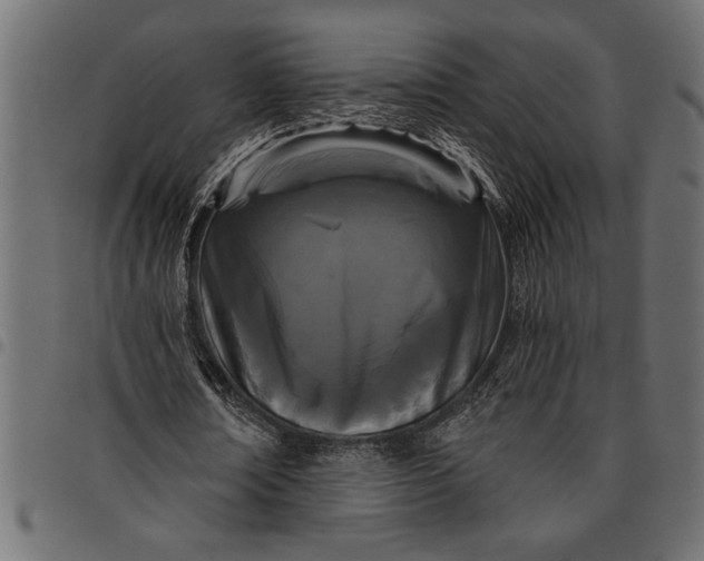 X0000097870674200803281202