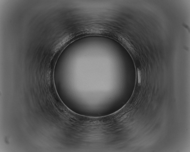 X0000097870675200803281202