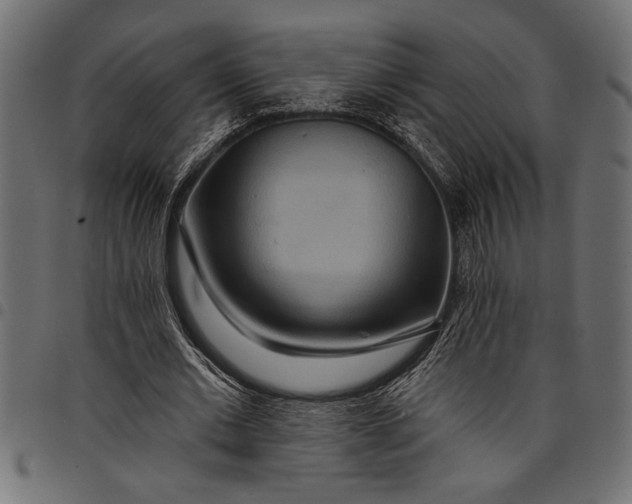 X0000097870677200803281202