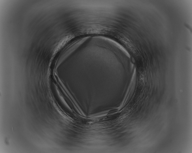 X0000097870678200803281202