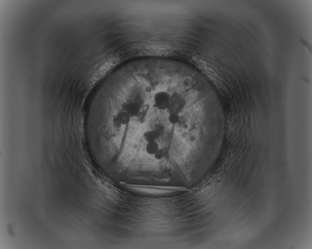 X0000097870679200803281202