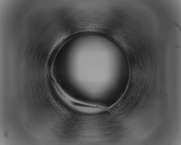 X0000097870680200803281202