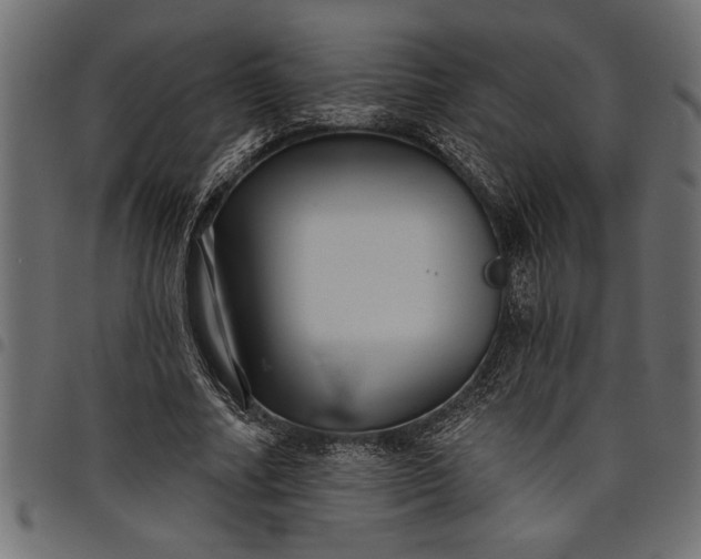X0000097870682200803281202