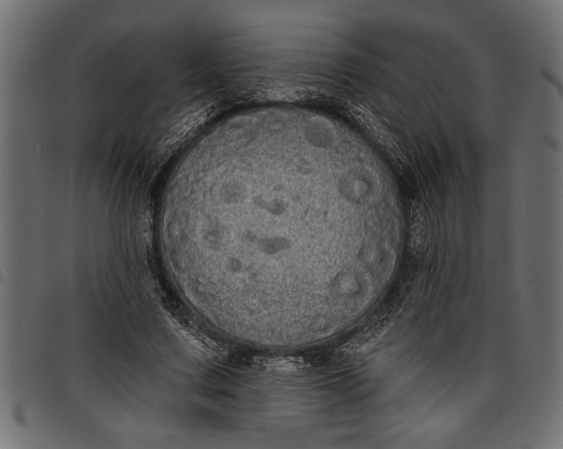 X0000097870683200803281202
