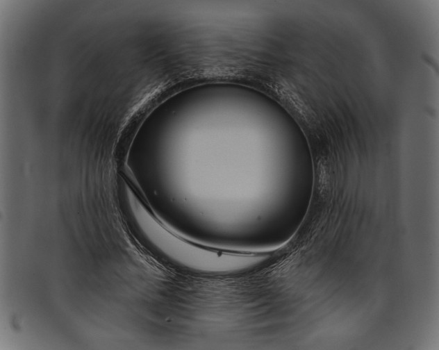 X0000097870684200803281202