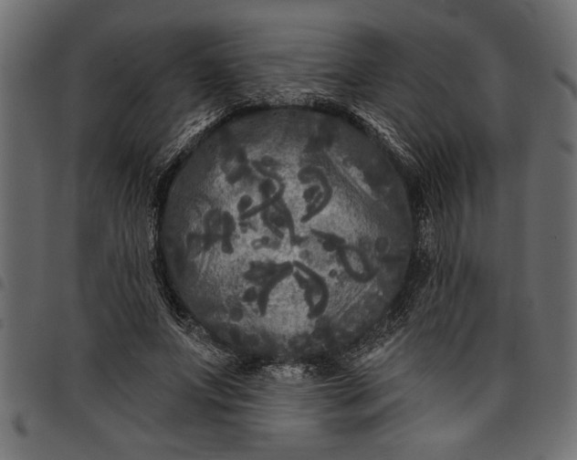 X0000097870687200803281202