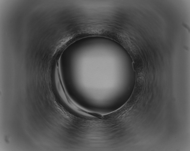 X0000097870688200803281202