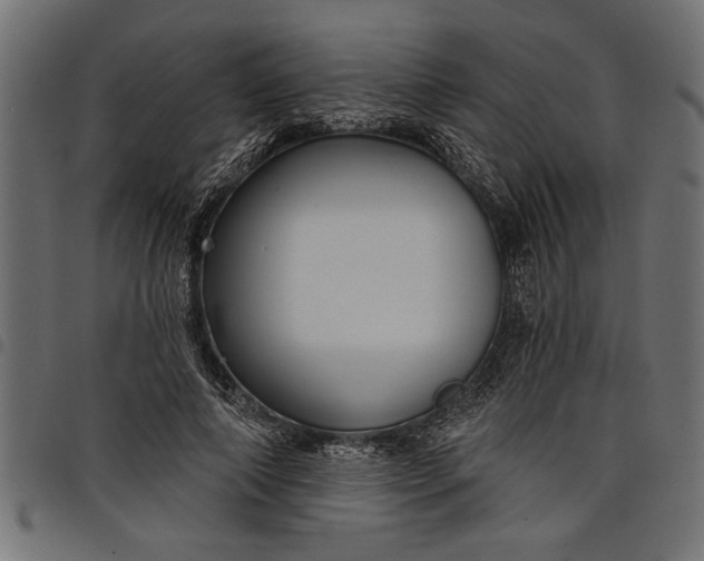 X0000097870690200803281202