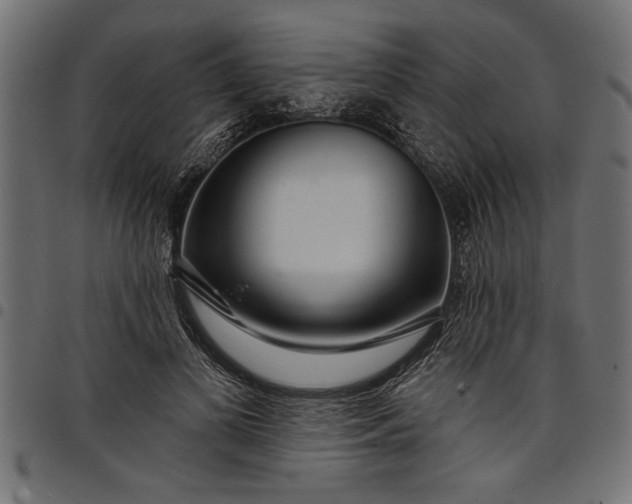 X0000097870693200803281202