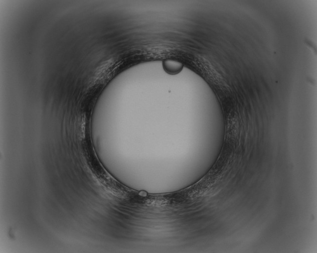 X0000097870694200803281202