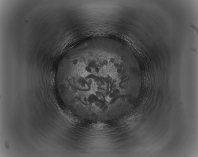 X0000097870695200803281201