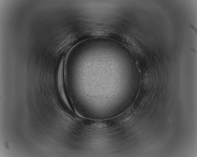 X0000097870696200803281201