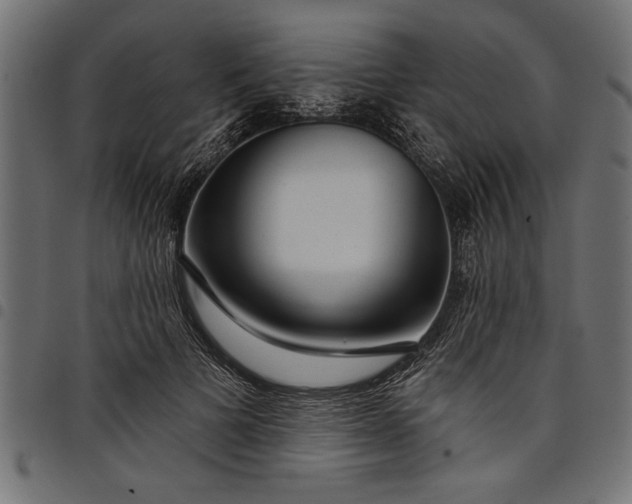 X0000097870697200803281201