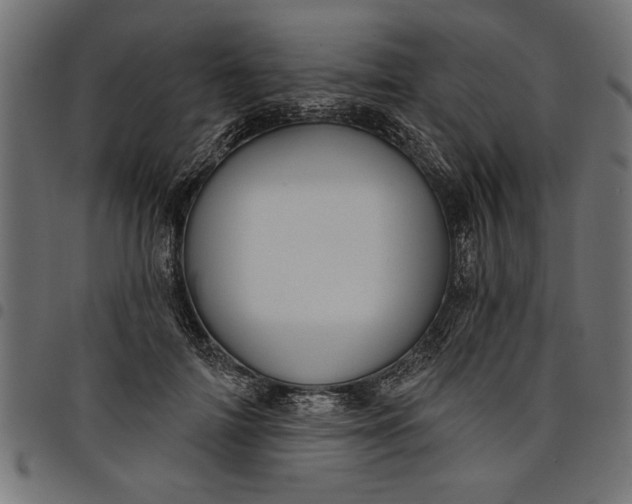 X0000097870698200803281201