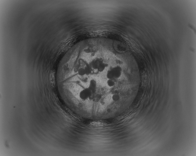 X0000097870699200803281201