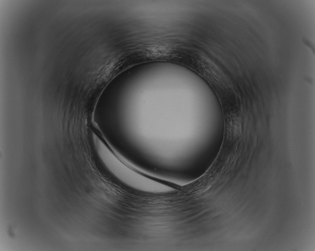 X0000097870700200803281201