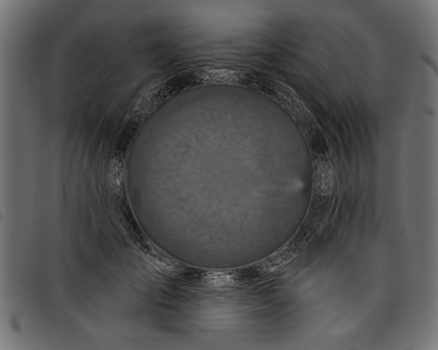 X0000097870701200803281201