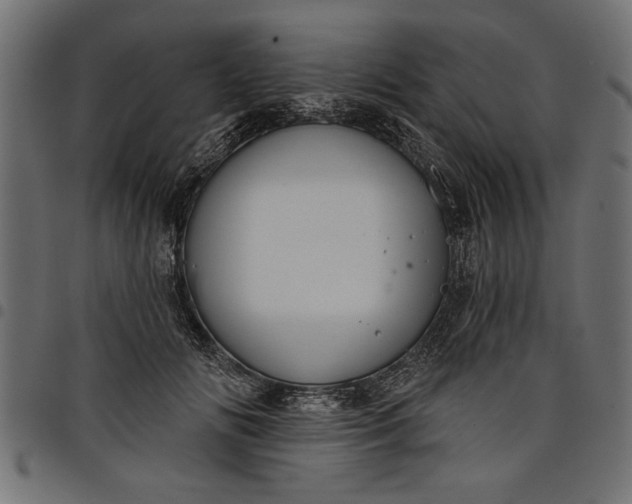 X0000097870702200803281201