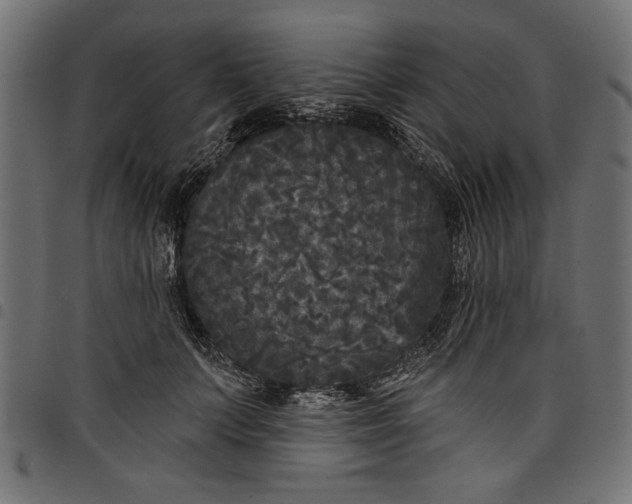 X0000097870703200803281201