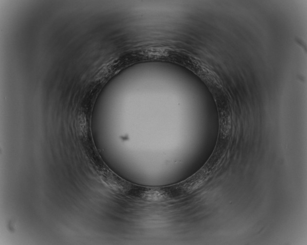 X0000097870704200803281201