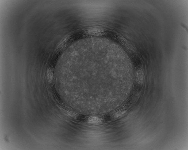 X0000097870705200803281201