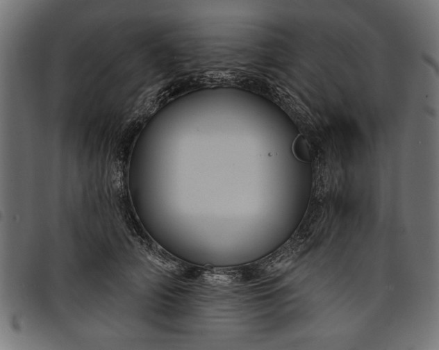 X0000097870706200803281201