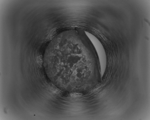 X0000097870707200803281201