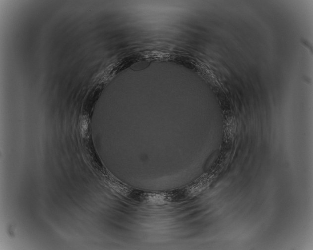 X0000097870709200803281201