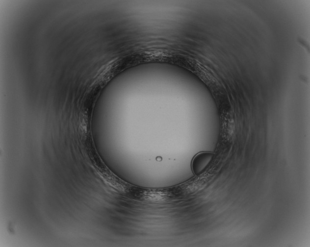 X0000097870710200803281201