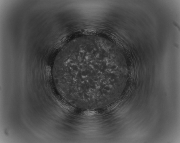 X0000097870711200803281201