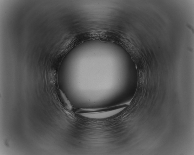 X0000097870712200803281201